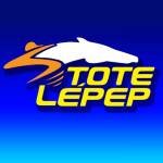 totelepep Profile Picture