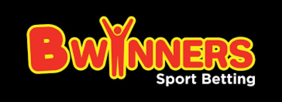 Bwinners Gambia Cover Image