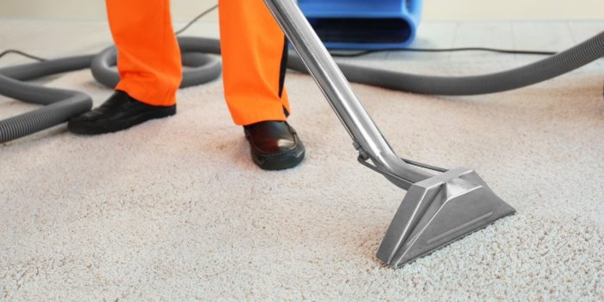 ﻿Budget-Friendly Carpet Cleaning Services in Your City