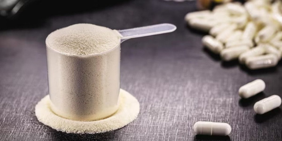 Chondroitin Sulfate Market 2025–2034: Regional Dynamics, Demand Hotspots, and Future Growth Pathways