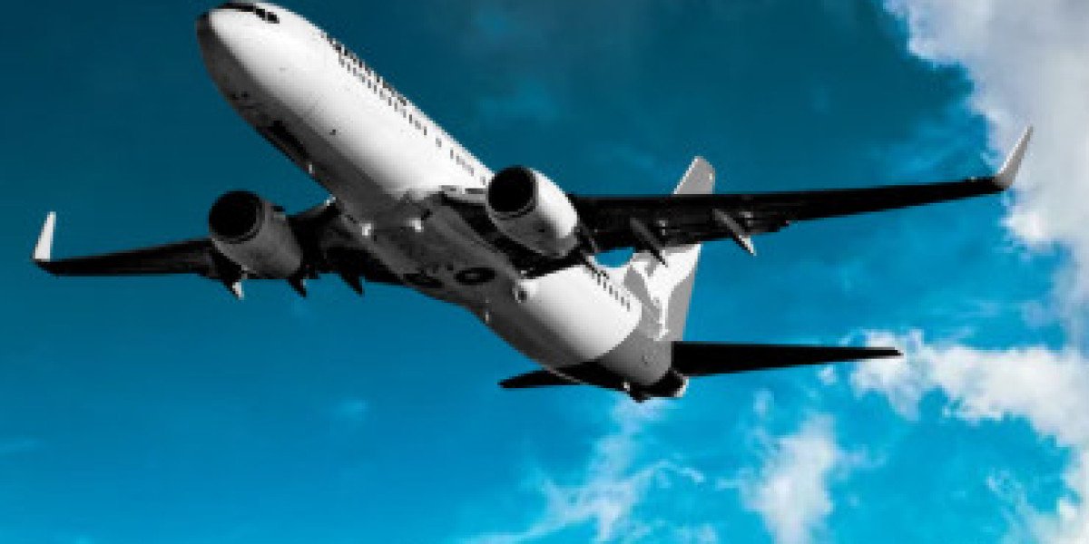 How to Choose the Right Tour Package for Your Next Travel Adventure