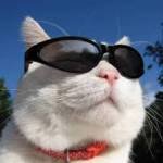 botiantools botiantools Profile Picture