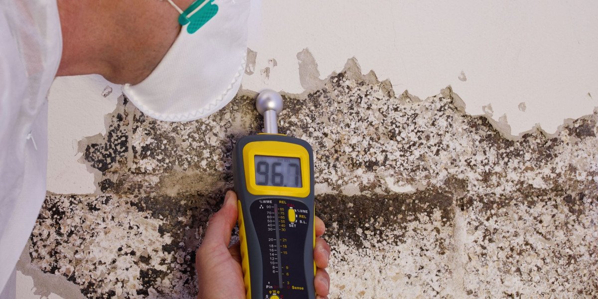 Mold Inspection Atlanta