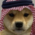 HONGYANG HONGYANG Profile Picture