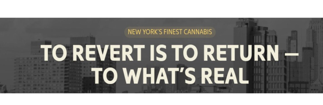 Revert Nyc Cover Image