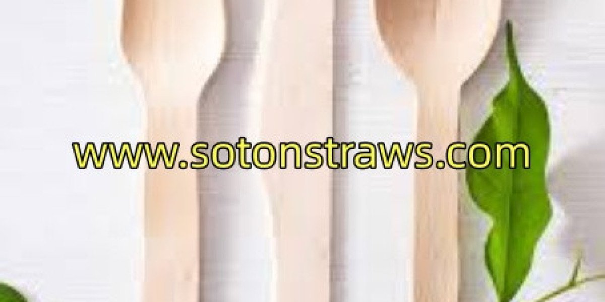 Is SotonStraws Advancing Paper Straws Manufactory Development?